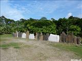 Jardín Botánico de Caguas - CAGUAS